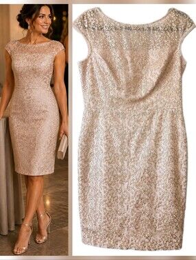 Maggy London Blush Champagne Shimmery Embroidered Sheath Cocktail Dress Size 8
